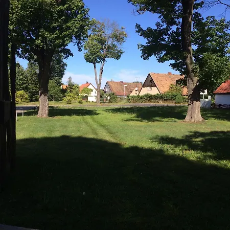 Daire Alte Schule