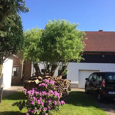 Daire Alte Schule